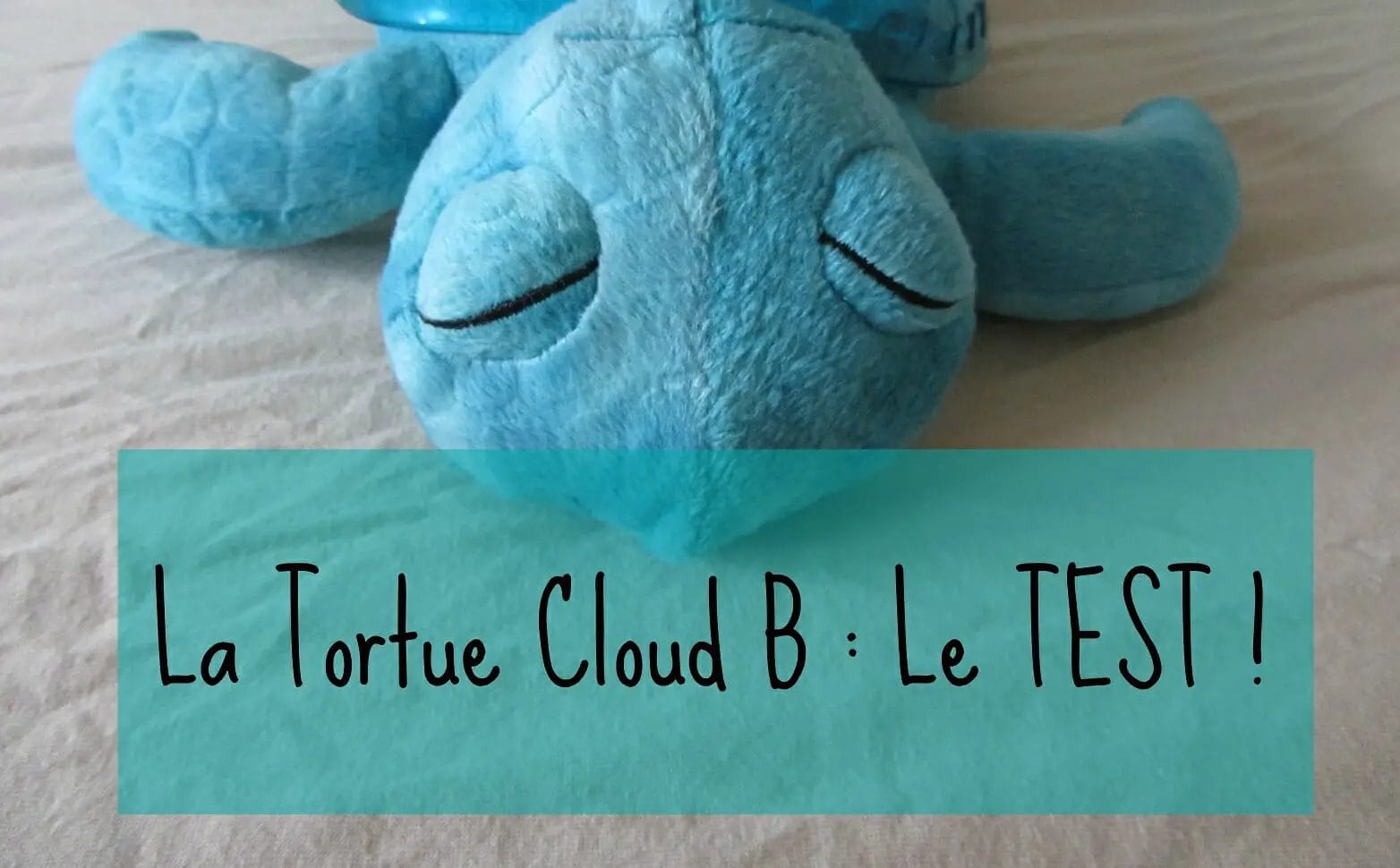 tortue-cloud-b