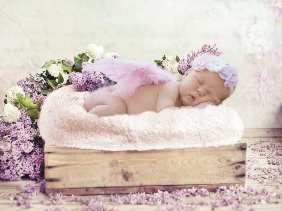 chambre plante bébé