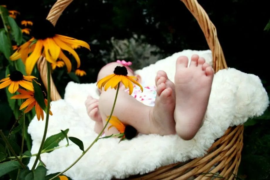 Peut On Mettre Des Plantes Dans La Chambre De Bebe Bebe Dodo